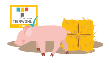 Piktogramm mit einem Schwein und dem Logo von Initiative Tierwohl