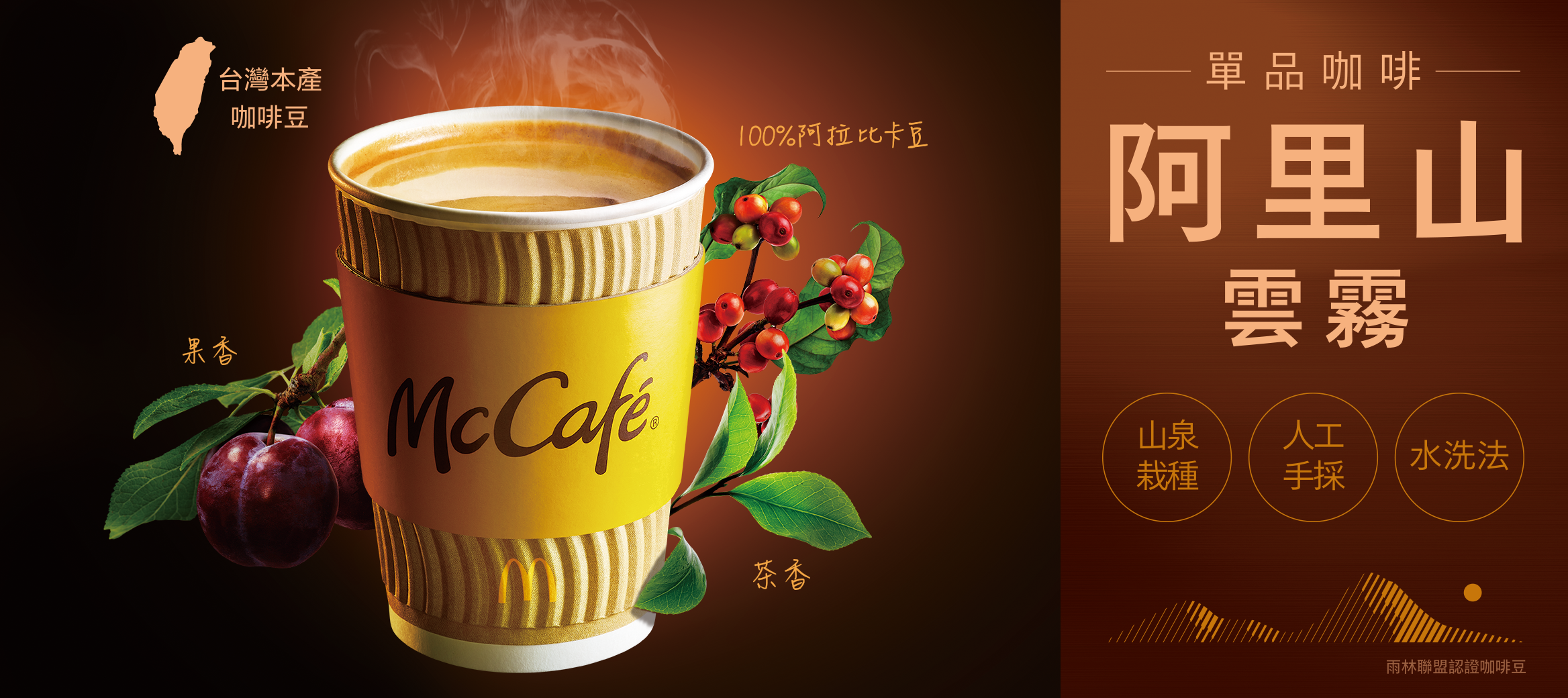 【阿里山雲霧單品咖啡】 McCafé 限定推出！