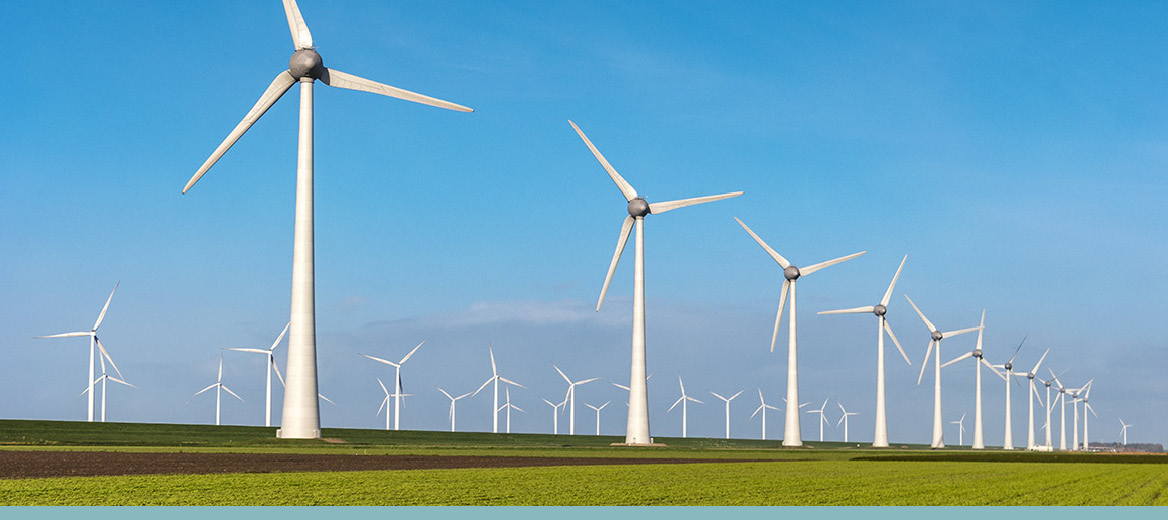 Wind turbines in a field